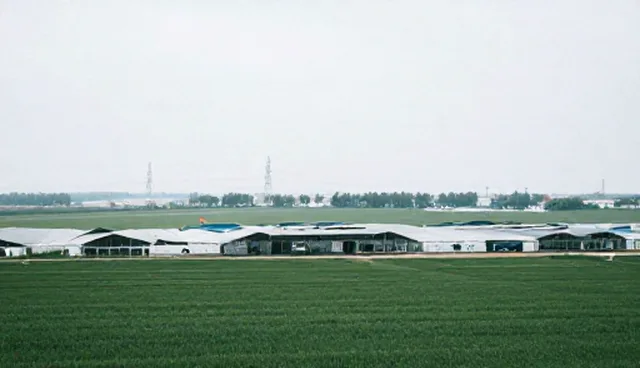 项目管理中的成本控制误区与实践要点